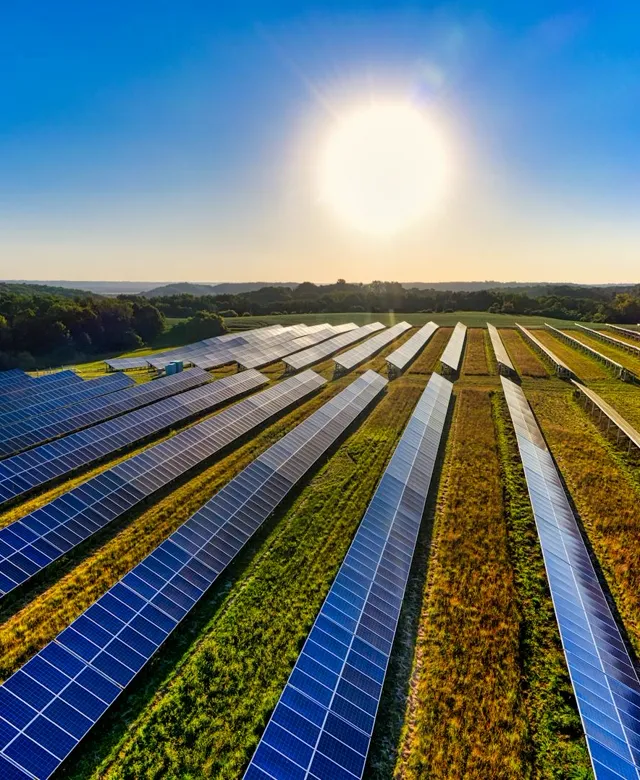 Redovi solarnih panela na izlasku sunca